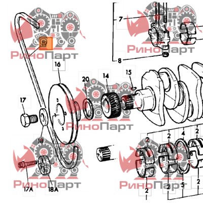 Ремінь генератора JCB 02/101906 Ремінь генератора JCB 02/101906